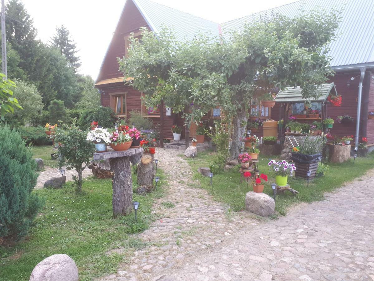 Olsik Apartment Białowieża Exterior foto